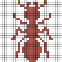 ant.jpg