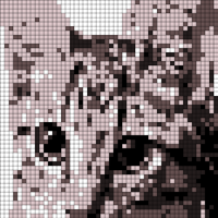 image_6483441 (1) - Edited.png