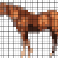 horse.png
