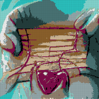 IMG_1256.PNG