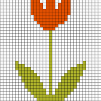 tulip