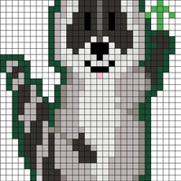 Racoon 