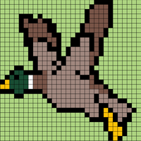 Bandits duck