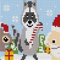 Racoon 