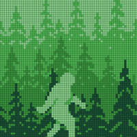 Sasquatch