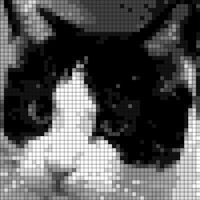 C0DF08D4-C3CC-4C48-B5C5-891510F8A7AC.jpeg