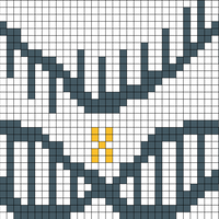 In-Sync DNA +RNA Pattern, altered Rosaline