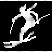 Copy of skier_sock_2.png