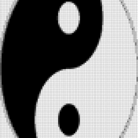 yinyang.jpg