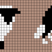Border collie mouton.jpeg