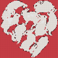 bunny.webp