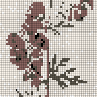Monkshood in bloom.jpg