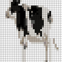cow 2.jpg