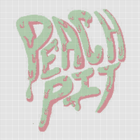 peachpitlogo.jpg