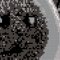 Screenshot_20221218-182305~2.png
