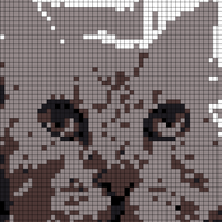 861B9B65-A33D-45C5-9645-0884BEB9F886.jpeg