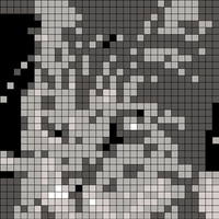 C6DE912F-5AAF-45C5-BCB6-AB47D547907B.jpeg
