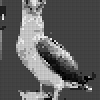 B5FA490E-98CF-4E41-A007-BD02C0862DAB.jpeg