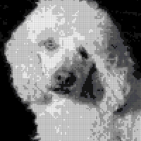 Screen Shot 2023-01-07 at 2.57.53 PM.png