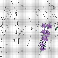 4389D3E5-5421-4367-9F65-AA821CF24BC8.jpeg