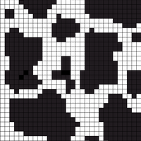 cow print 50 by 50