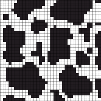 cow print 50 by 50