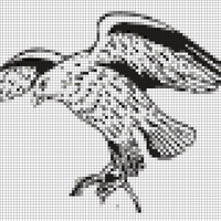 Untitled design (24).png
