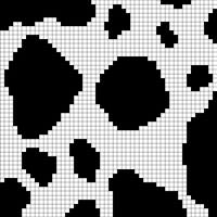 Cow Blanket