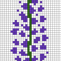 Lupine