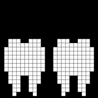 teeth