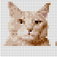 cat.jpg