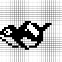 Whale 