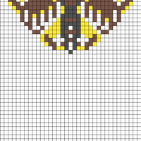 Moth