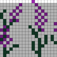 lavender