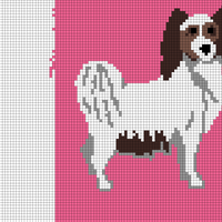 Papillon