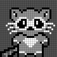 Raccoon