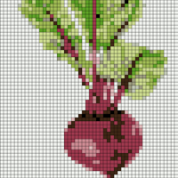 beet4.jpg