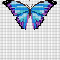 Blue Morpho