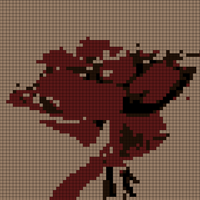 Valentine’s Day Roses.jpeg