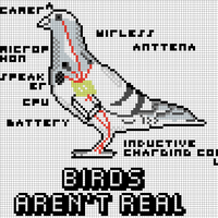 PIGEON