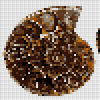 ammonite-shell-polished.jpg