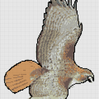 Copy of hawk.png