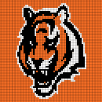 bengals tiger.jpg