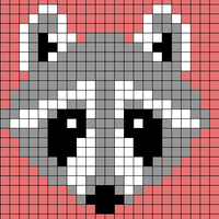 racoon