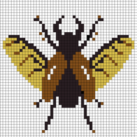Copy of beetle.jpg