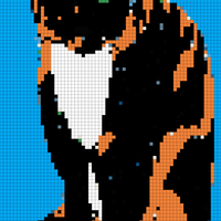 cat.jpg