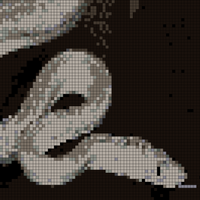Silver-Boa.jpg