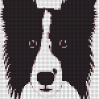 Copy of border collie 3.svg