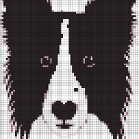 Copy of border collie 3.svg