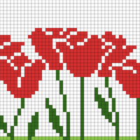Tulips